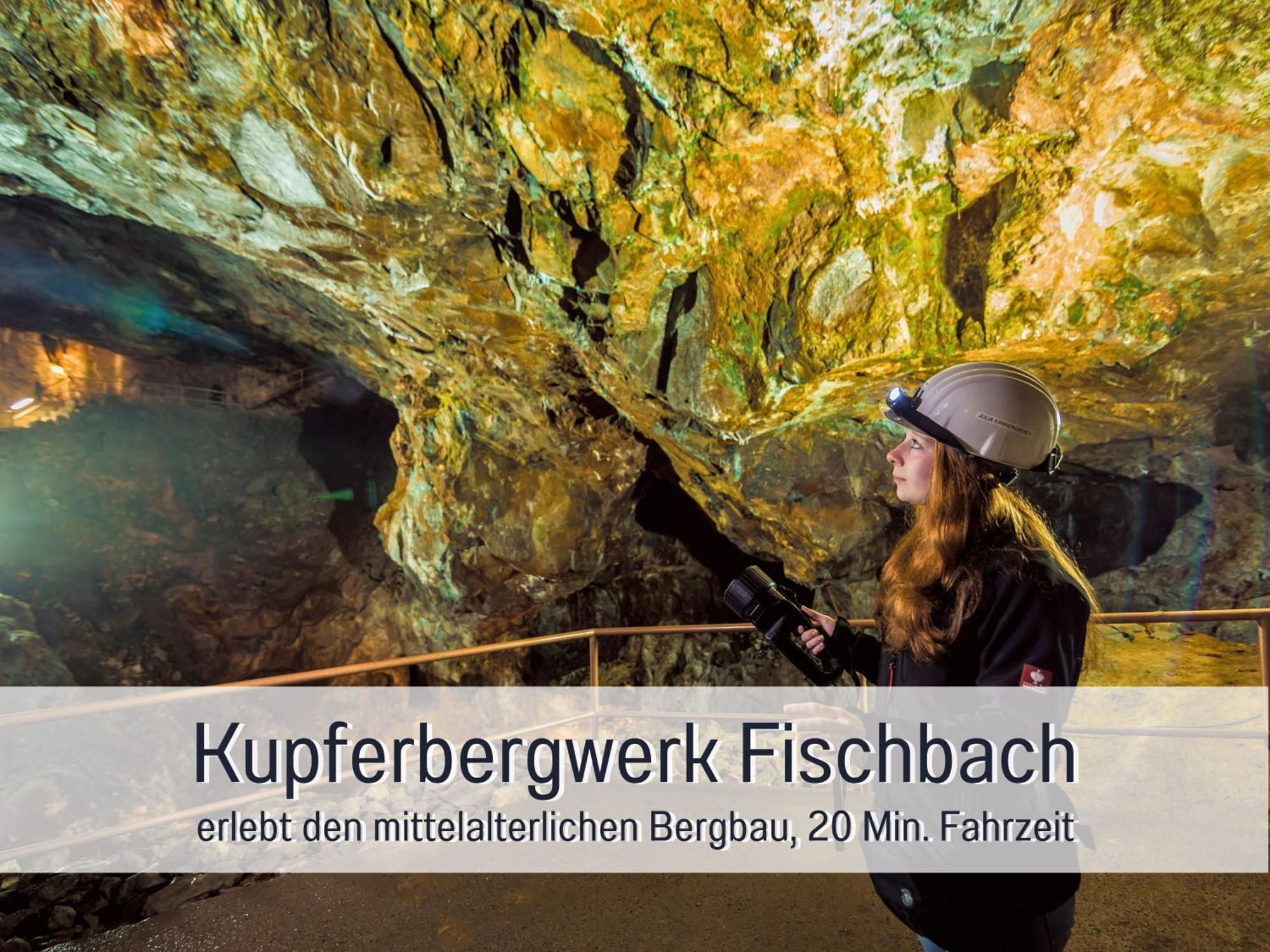 Natur-Chalet Zum Nationalpark Marie-Luise Inkl E-Auto Allenbach Extérieur photo