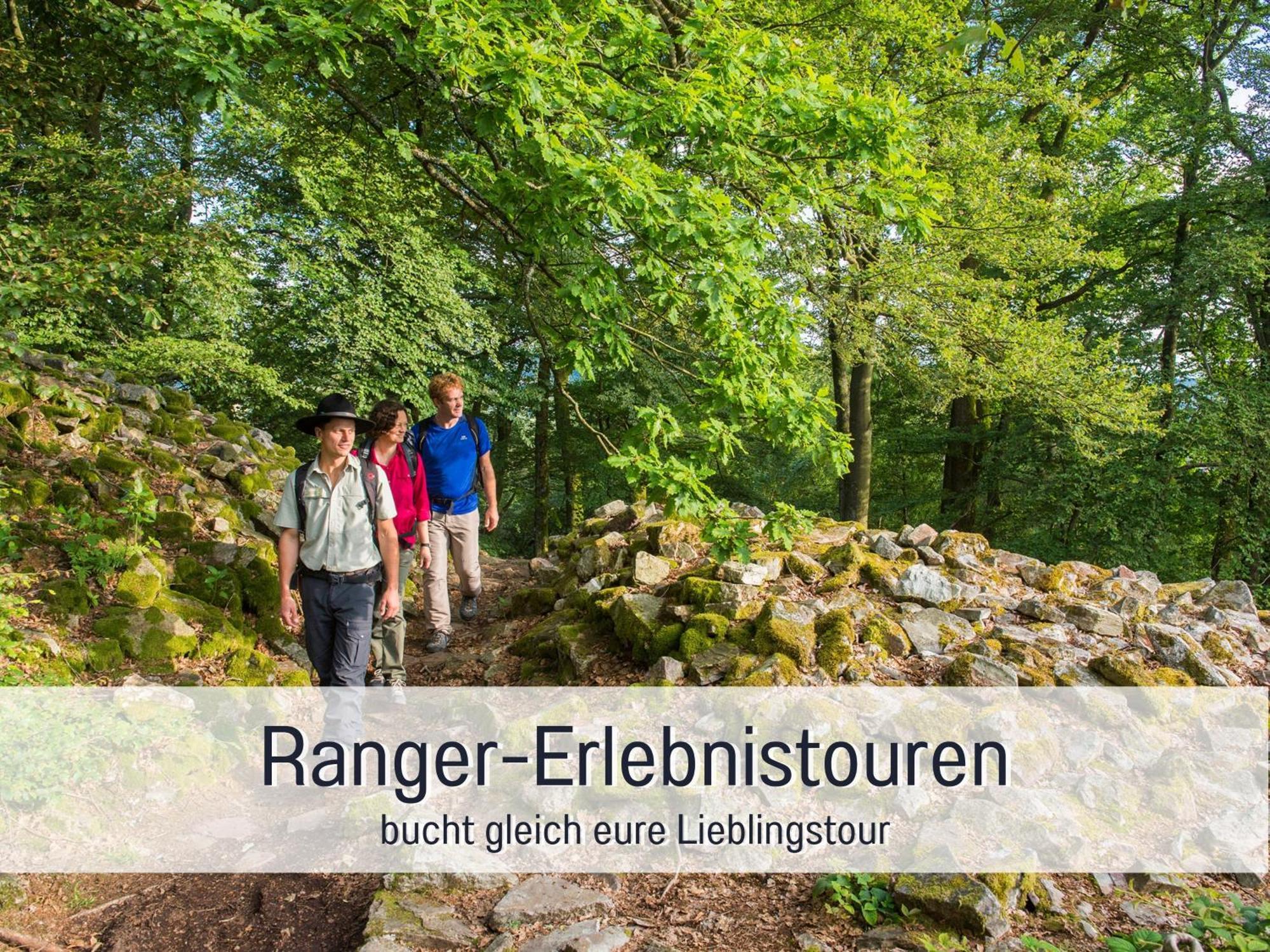 Natur-Chalet Zum Nationalpark Marie-Luise Inkl E-Auto Allenbach Extérieur photo